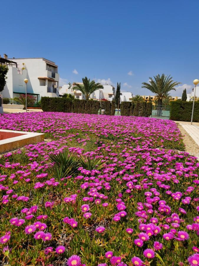 Apartamento Naturista En Primera Linea! L'Île-Rousse Dış mekan fotoğraf