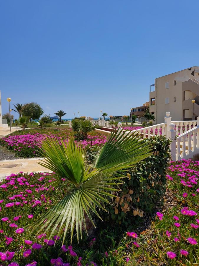 Apartamento Naturista En Primera Linea! L'Île-Rousse Dış mekan fotoğraf