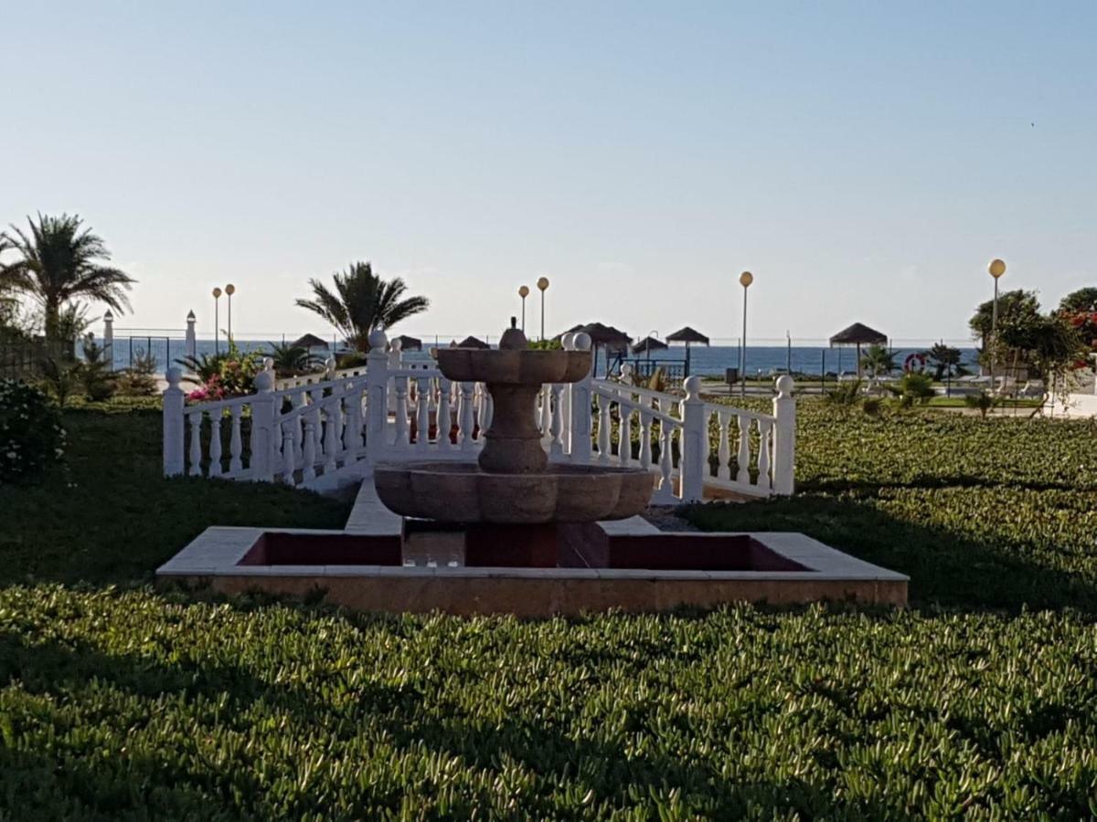 Apartamento Naturista En Primera Linea! L'Île-Rousse Dış mekan fotoğraf